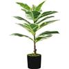 King Collection PIANTA FICUS ELASTICA H. 65 cm 15 FOGLIE