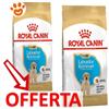 Royal Canin Dog Puppy Labrador - Offerta [PREZZO A CONFEZIONE] Quantità Minima 2, Sacco Da 12 Kg