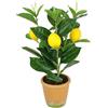 Flair Flower Mini albero di limone artificiale, 30 cm, pianta artificiale, albero di agrumi, decorazione per albero da frutto, pianta in vaso, pianta da appartamento, pianta toscana meridionale