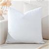 Artscope Federe Cuscini in Velluto Minimalista Copricuscino Colorato per la Decorazione Domestica Soggiorno Camera da Letto Divano 45x45cm, Bianco