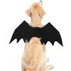 Kongou Gatto Cane Pipistrello Ali, Halloween Dress Up, Abbigliamento Costume Da Pipistrello, Divertente Cosplay Party