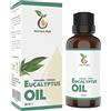 Natura Pur Olio di Eucalipto 30ml - Olio essenziale di eucalipto 100% naturale, vegano - Eucalyptus Oil (Eucalyptus Radiata Leaf Oil) per aromaterapia, diffusore, olio di fragranza, olio aromatico