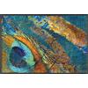 Wash+Dry tappeto Exotic Pavo 50x75cm, adatto per interni ed esterni, lavabile