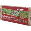 Hobby Dohse Aquaristik 34170 Spaghnum Moss