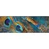 Wash+Dry tappeto Exotic Pavo 60x180cm, adatto per interni ed esterni, lavabile