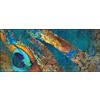 Wash+Dry tappeto Exotic Pavo 60x140cm, adatto per interni ed esterni, lavabile