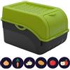 ARTECSIS® 1 x contenitore per patate con coperchio 4 kg (verde), scatola per verdure e alimenti con 6 etichette