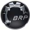 Evinrude - Johnson Adesivo logo per motore Evinrude 68mm BRP BRP-Evinrude-Johnson