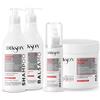 Dikson Repair Plex, Set Trattamento Riparatore Capelli Danneggiati: Shampoo 400ml, Balsamo 400ml, Maschera 500ml, Maschera Spray 150ml