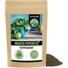 Alpi Nature Menta Piperita Tisana 125g, Foglie di Menta Piperita Essiccate e Tagliate, Tè Sfuso