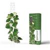 PlantMe Supporto per piante rampicanti, Monstera, asta muschiata, supporto per piante, supporto per piante da appartamento (40 cm, colore: bianco)