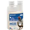 DADECARE Preventivo Parassiti Interni Naturale 250 ml - Polli, Pollame ed Esotici - Previene e Tratta Problemi digestivi - Formula Naturale - Estratto di Aglio e Oregano - Inncare
