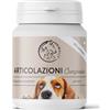 Annimally Compresse articolazioni cane con condroitina, glucosamina e artiglio del diavolo-120 pastiglie per il benessere delle articolazioni cane-L'integratori per cani perfetto per il premium joint care cani.