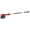 Blue Bird Potatore a catena telescopico a batteria blue bird pcs 23-10 barra 25 cm 43,2v 5ah