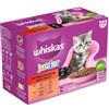 Whiskas Junior Classic Selezione in salsa cibo umido per gatti multipack (bustine 85 g) 4 confezioni (48 x 85 g)