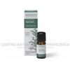 NASOTERAPIA Olio essenziale di cipresso (cupressus sempervirens) 10 ml