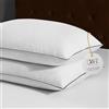 DWR Luxury Cuscino in Piuma d'oca,Piume d'Oca Bianche Naturali，Morbido Cuscino Letto,Copertura in cotone organico Set di 2,60x60cm