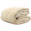 La Bottega del Risparmio Gabel Trapunta Double Face Letto Singolo 1 Piazza Linea Chromo Vari Colori (Beige/Panna)