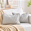 LRartdeco Federe Cuscini 30x50 in Velluto a Coste per Divano Grigio Copricuscini Quadrati Elegante Decorativa per Salotto Moderno Cuscino Cerniera Invisibile per Camera da Letto Set 2 Pezzi