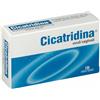 FARMA-DERMA SRL Cicatridina Coadiuvante Mucosa Vaginale 10 Ovuli Vaginali