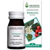 ARCANGEA Withania soluzione idroalcolica 50 ml - ARCANGEA - 905221370