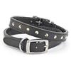 Ancol Collare in Pelle Nero 20-26cm Taglia 1