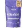 Symbeauty Collagene Idrolizzato e Acido Ialuronico 210Cpr Oracoll Advanced