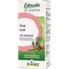 BOIRON Uva Ursina Estratto Idroalcolico 60ml Boiron