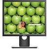 Dell 19 Monitor P1917S - 48Cm 19 Black