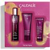 Caudalie Nuovo Cofanetto Thè des Vignes Acqua fresca 50ml Gel Doccia 50ml e Crema mani e unghie 30ml