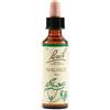 Bach Flower Remedies Walnut N.33 Gocce 20 Ml
