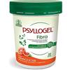 NATHURA Srl PSYLLOGEL FIBRA ARANCE ROSSE VASO 170 G