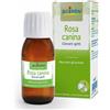 BOIRON Srl Rosa Canina Macerato Glicerico 60ml