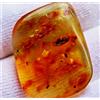 Ambra di Copal con diverse mosche e zanzare. Amazon jungle 4,1 gr