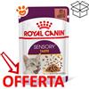 Royal Canin Cat Sensory Taste in Gelatina - Bustina Da 85 Gr - CONFEZIONE RISPARMIO