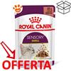 Royal Canin Cat Sensory Smell in Salsa - Bustina Da 85 Gr - CONFEZIONE RISPARMIO