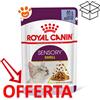 Royal Canin Cat Sensory Smell in Gelatina - Bustina Da 85 Gr - CONFEZIONE RISPARMIO