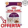 Royal Canin Cat Sensory Feel in Salsa - Bustina Da 85 Gr - CONFEZIONE RISPARMIO