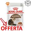 Royal Canin Cat Ageing 12+ in Salsa - Bustina Da 85 Gr - CONFEZIONE RISPARMIO