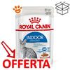 Royal Canin Cat Indoor Sterilised in Salsa - Bustina Da 85 Gr - CONFEZIONE RISPARMIO