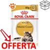 Royal Canin Cat Adult Maine Coon - Bustina Da 85 Gr - CONFEZIONE RISPARMIO