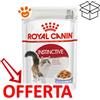 Royal Canin Cat Instinctive in Gelatina - Bustina Da 85 Gr - CONFEZIONE RISPARMIO