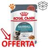 Royal Canin Cat Hairball Care in Salsa Gravy - Bustina Da 85 Gr - CONFEZIONE RISPARMIO