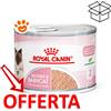 Royal Canin Cat Mother & BabyCat - Lattina Da 195 Gr - CONFEZIONE RISPARMIO