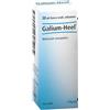 GALIUM 30ML GTT HEEL