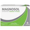MAGNOSOL 20BUST EFFERV
