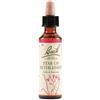 STAR OF BETHL ORIG 20ML