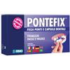 PONTEFIX SET FISSAGGIO PONTI