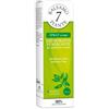 7 PIANTE BALSAMICO SPRAY AMBIENTE