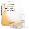 COENZYME COMP 10F 2,2ML HEEL